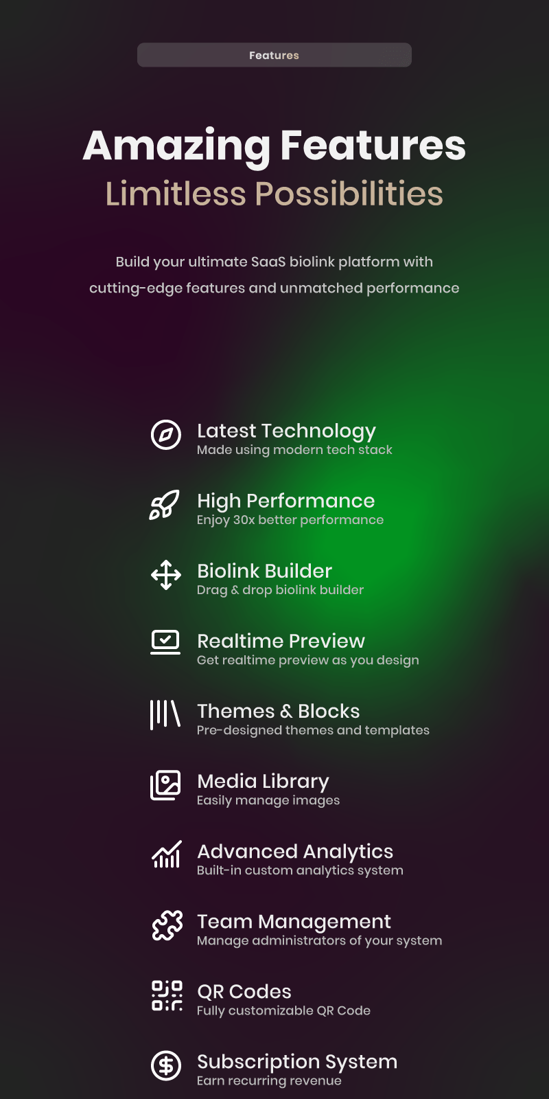 Blink Feature List 1